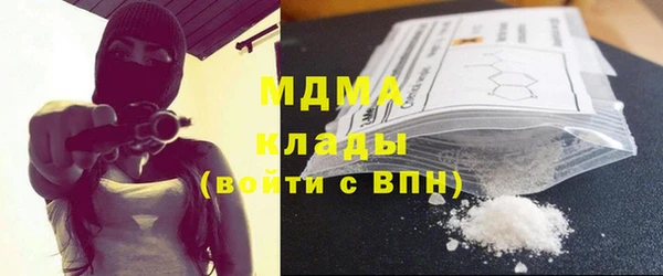 гашик Бикин
