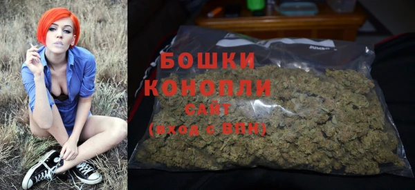 сатива Баксан