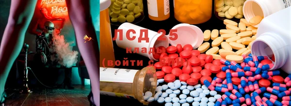 сатива Баксан