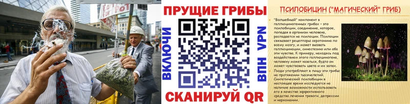 Псилоцибиновые грибы мухоморы  цена наркотик  Дюртюли 