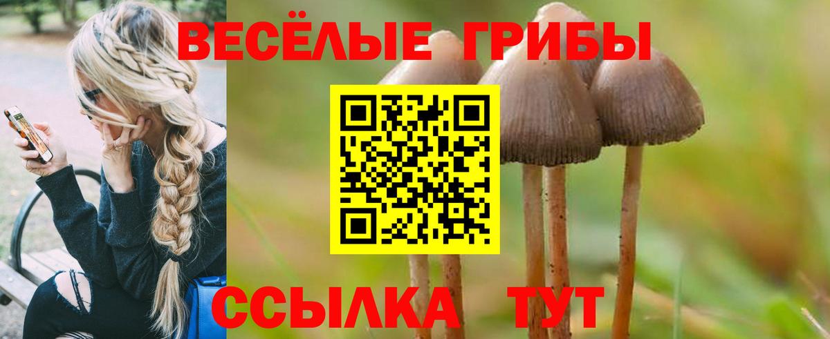 Псилоцибиновые грибы прущие грибы  Галлюциногенные грибы мицелий  Вход с VPN  Дюртюли 